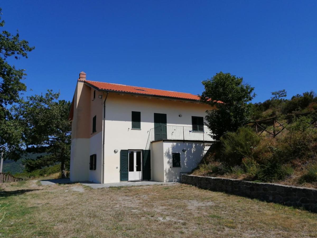 La Casa Gialla Belvedere コルトーナ エクステリア 写真