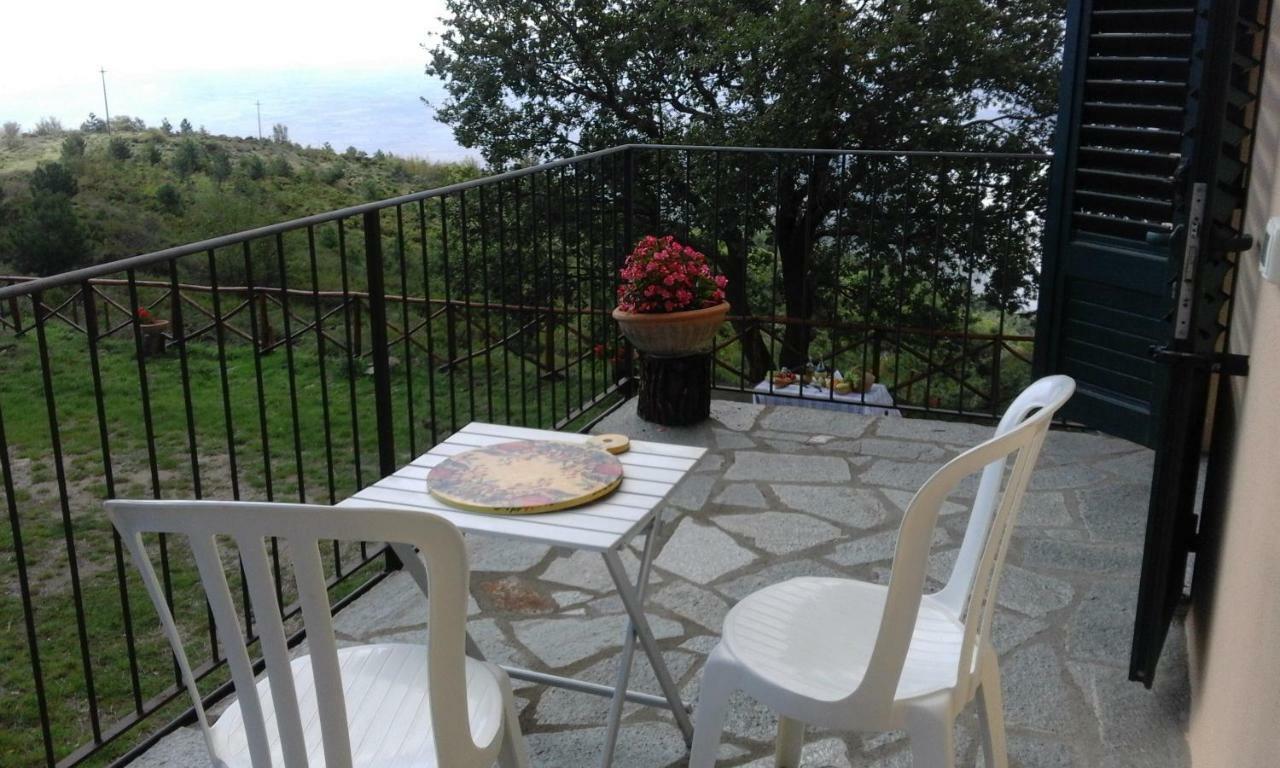 La Casa Gialla Belvedere コルトーナ エクステリア 写真