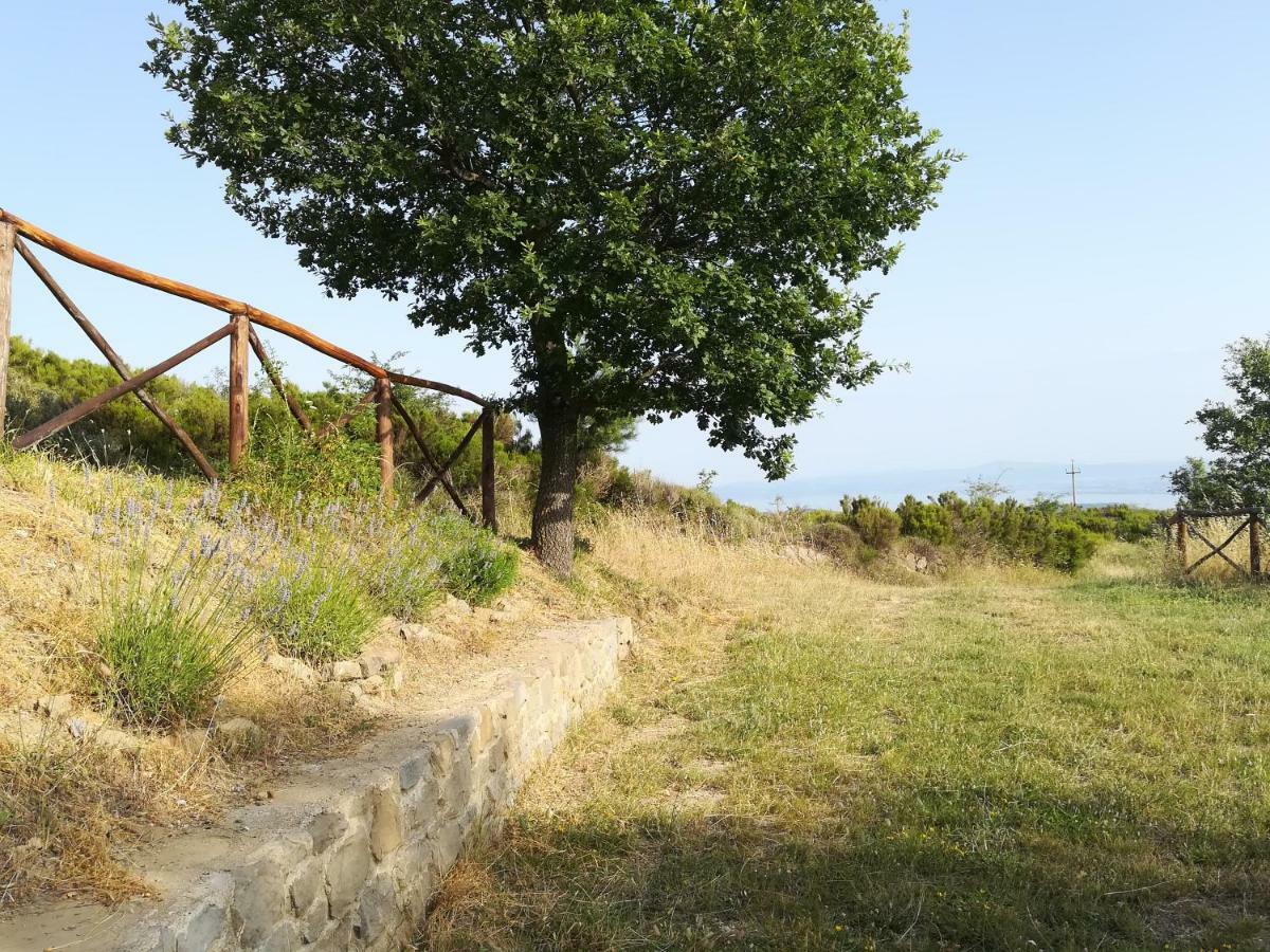 La Casa Gialla Belvedere コルトーナ エクステリア 写真